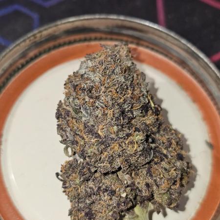 Mango Runtz