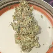 SMQR#2
