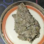 Hoodoo Mama Juju