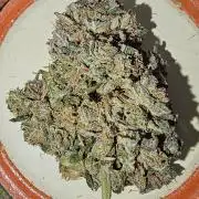 Appletizer