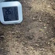 505 Headbanger Auto in coco hybrid