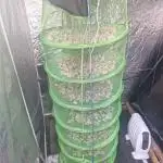 Permanent whitemarker