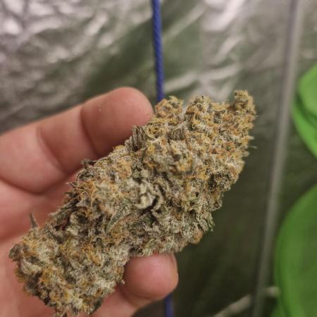 Permanent whitemarker