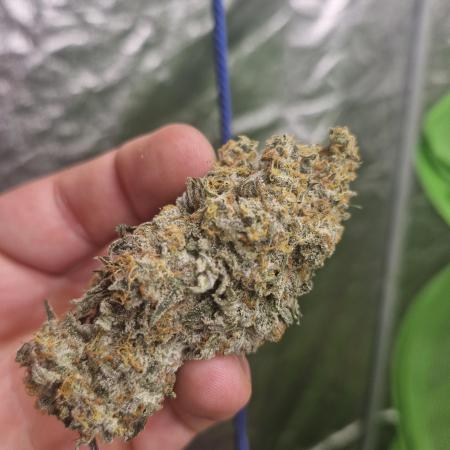 Permanent whitemarker