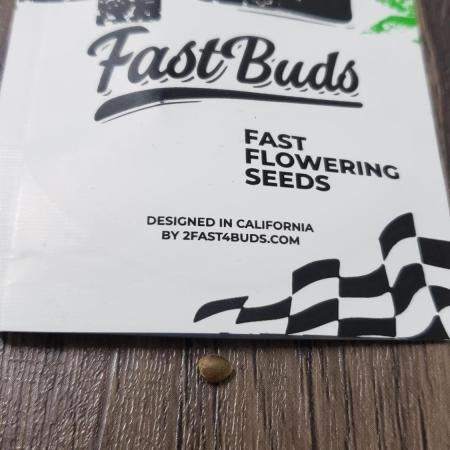 Gorilla Cookies FF - Outdoor 2026