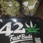 Strawberry Gorila Auto - indoor 2025