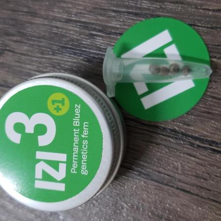 Permanent Bluez indoor