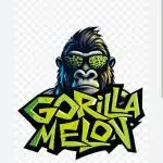 Gorilla Melon - exterior 25/26