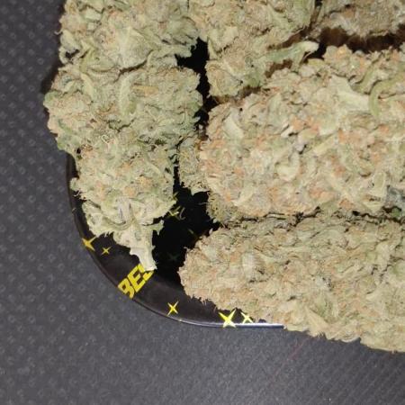 Gold Bar Kush