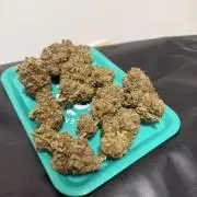 Afghani Gold