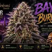 Bay Burger(Delicious Seeds Grow Contest)