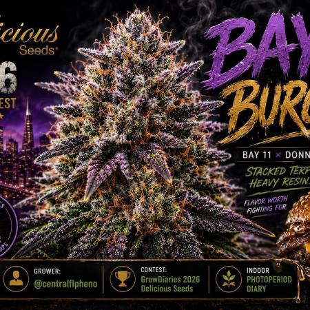 Bay Burger(Delicious Seeds Grow Contest)