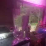 BackyardHypsumMossHarvest/AquaticXformat