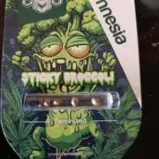 Eternity Grow cup 2026 /Sticky broccoli