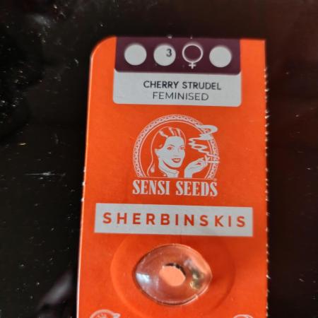 Cherry strudel Sherbisnky/Sensi seeds