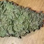 Bay Burger/Outdoor contest