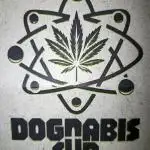 🐺 Dognabis#19A 🐺