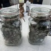 Granddaddy Purple