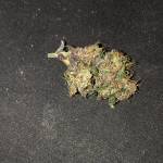 2x Auto Blackberry Kush Dutch Passion