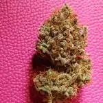 Delicious Cookies Auto