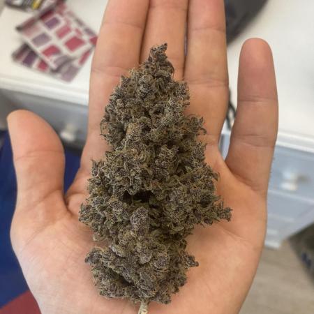 Fast buds mini grow 