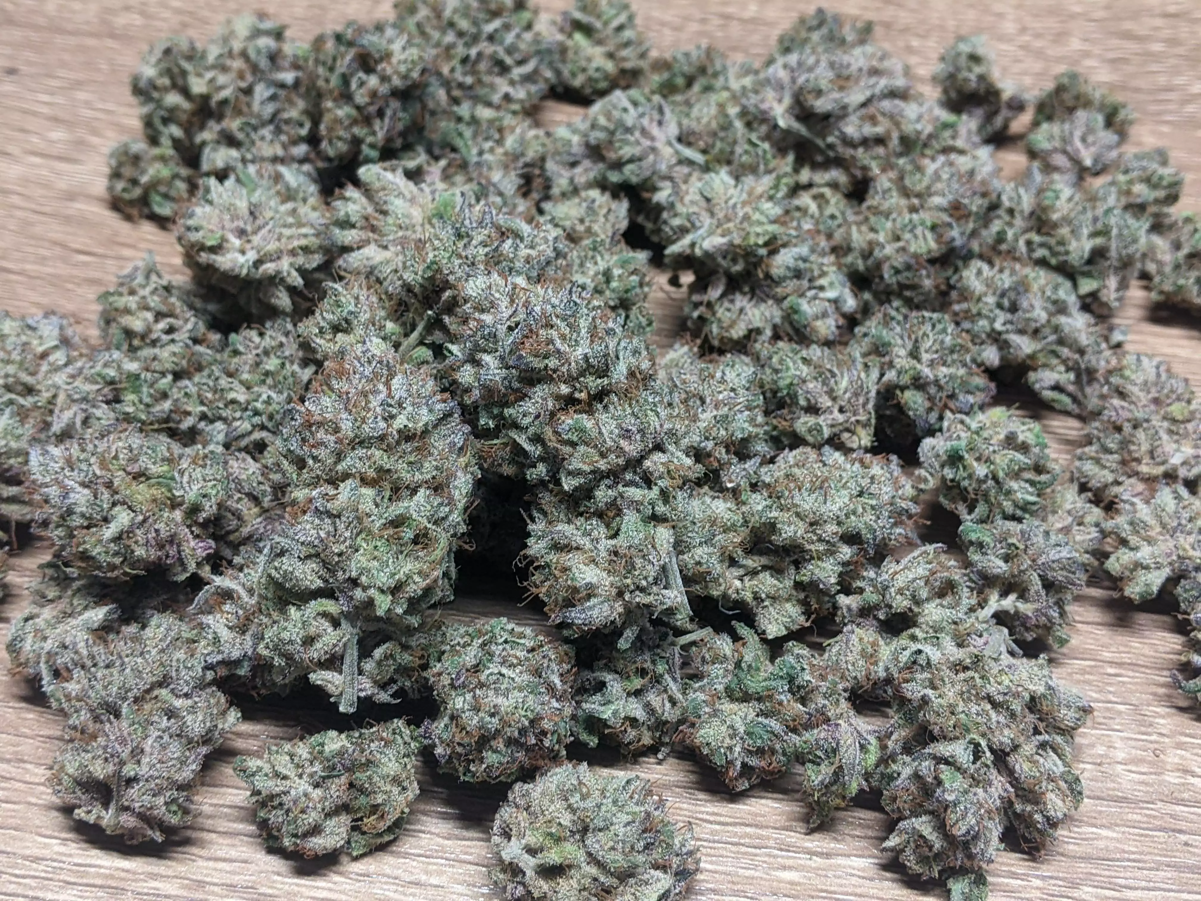 Jelly Donutz / Humboldt Seed Company: reviews - GrowDiaries