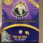 Revolver Autoflower Indoor Grow 2022