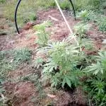 ak47 2018-07-04