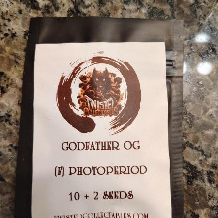 Godfather OG (Plant no.2) - Fem photo