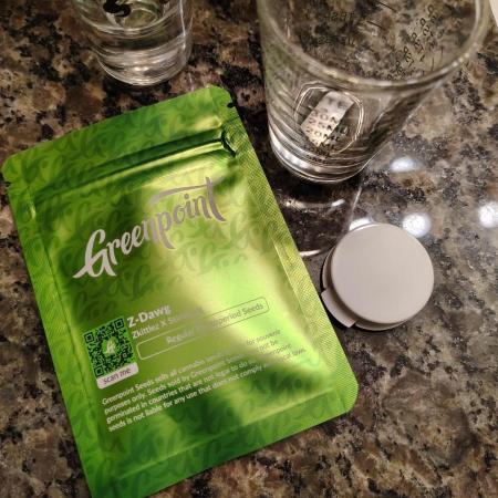 Z-Dawg  (plant no.1)