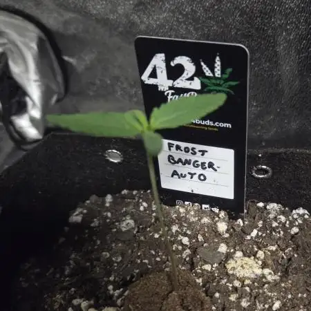 Fall 2025 Grow