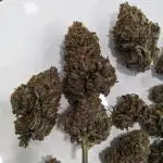 2025 - FB Banana Purple Punch Organic