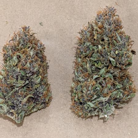 2025 FB - LSD 25; Organic Biotabs