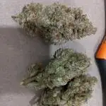 2025 - FB Papaya Cookies Organic