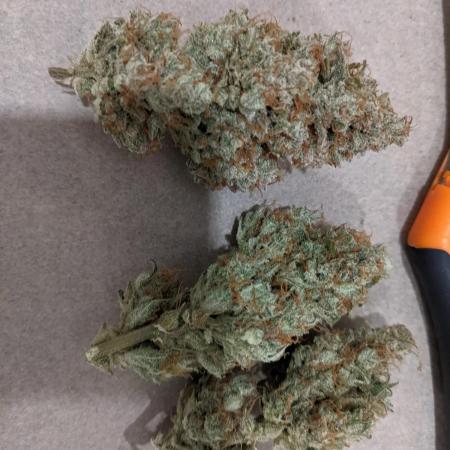 2025 - FB Papaya Cookies Organic