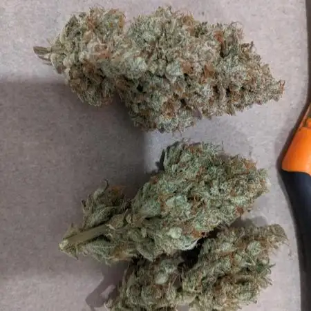2025 - FB Papaya Cookies Organic