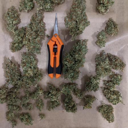 2026 - FB Lemon AK Auto Organic