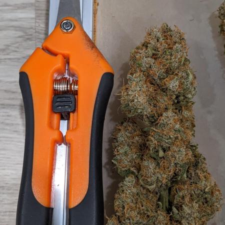 2025 - FB Lemon Cherry Cookies Organic