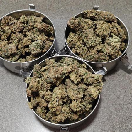 B-45 by BOOBA - Seed
