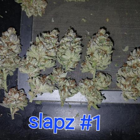 Slapz