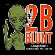 2 B Blunt