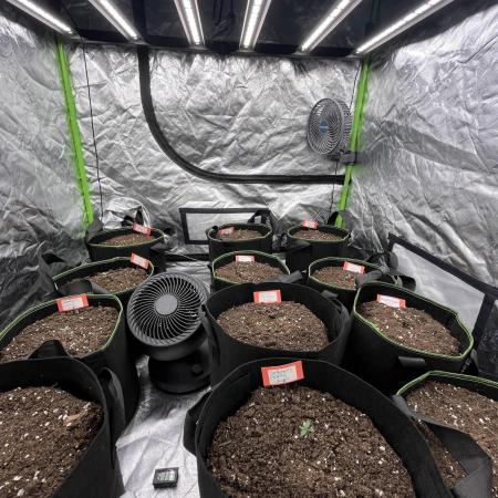 FastBuds MultiRun