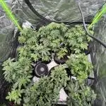 FastBuds MultiRun