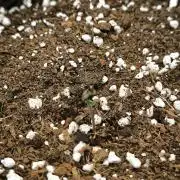 Hulkberry Auto & Northern Light Auto