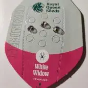 White Widow