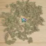 HulkBerry_16
