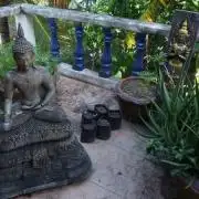 Auto Pineapple Glue in the Tropics