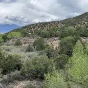 Gorilla Runtz Outdoor New Mexico 7000ft