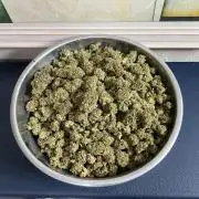 Gorilla Runtz Outdoor New Mexico 7000ft