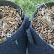 Sensi Seeds Breeding Grounds Auto 26